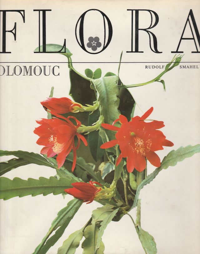 Flora Olomouc