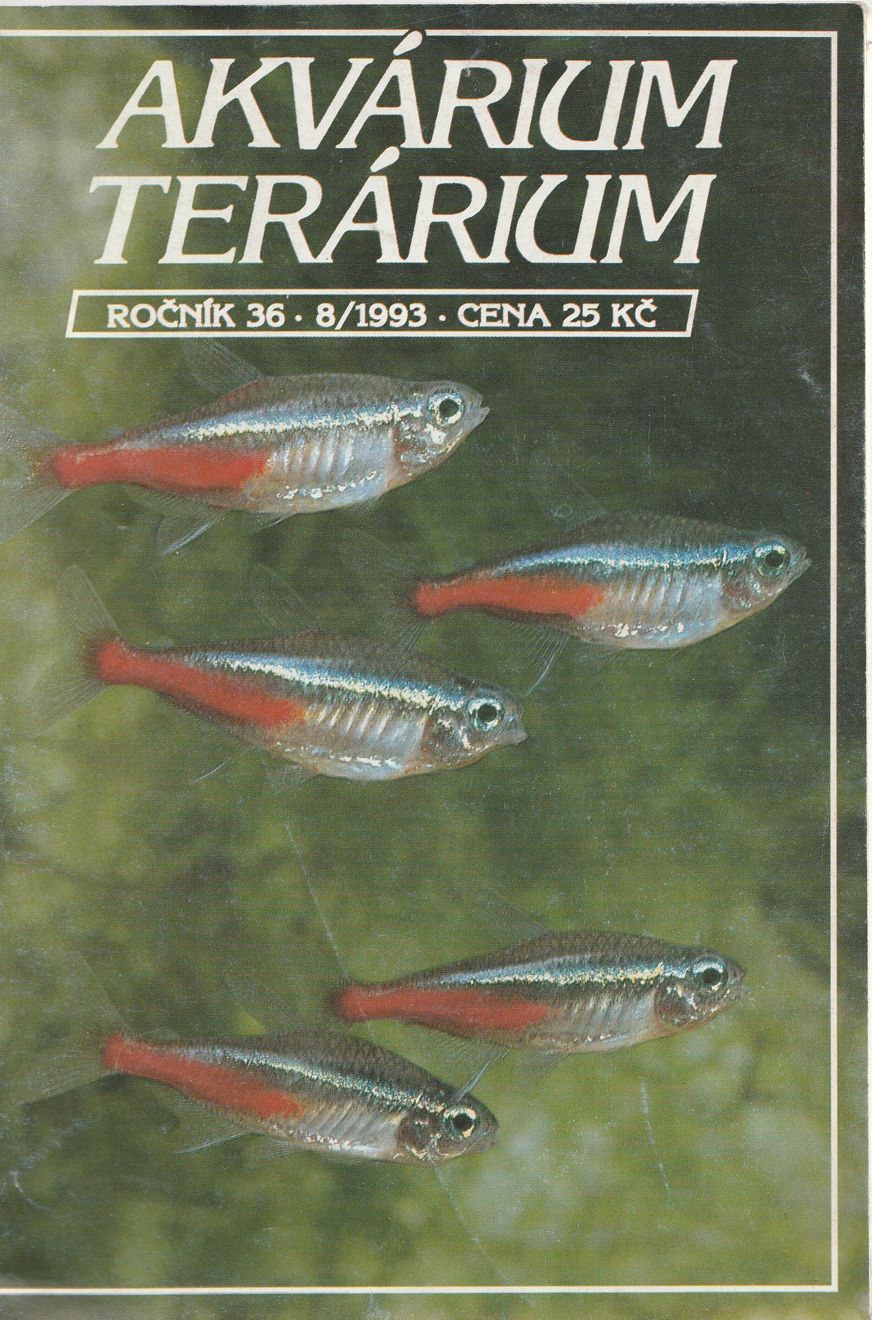 Akvárium terárium r. 36 - 8/1993