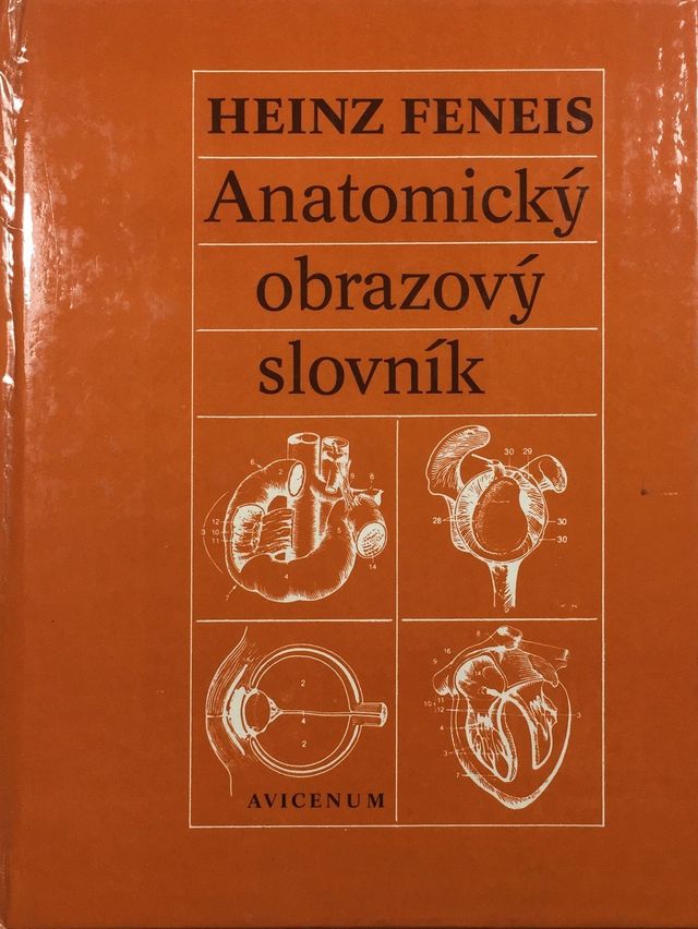 Anatomický obrazový slovník