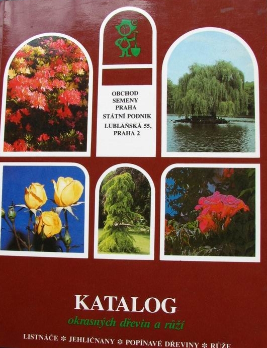 Katalog okrasných dřevin a růží