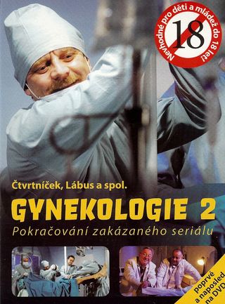 DVD - Gynekologie 2